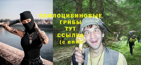 индика Абдулино