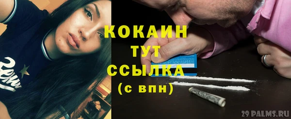 индика Абдулино