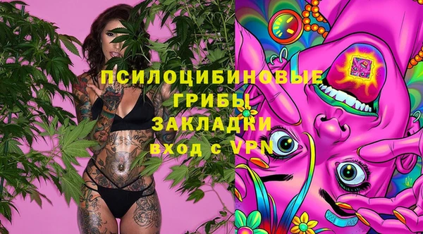spice Алзамай