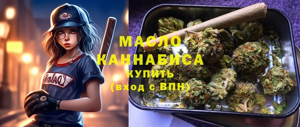 индика Абдулино