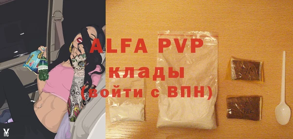 индика Абдулино