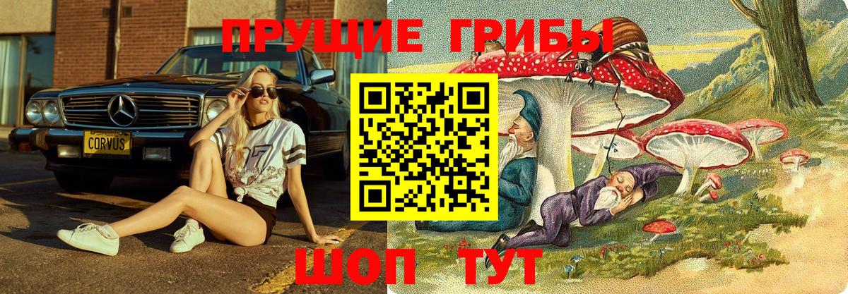 Татарск  Галлюциногенные грибы GOLDEN TEACHER  как найти закладки  Вход с VPN 